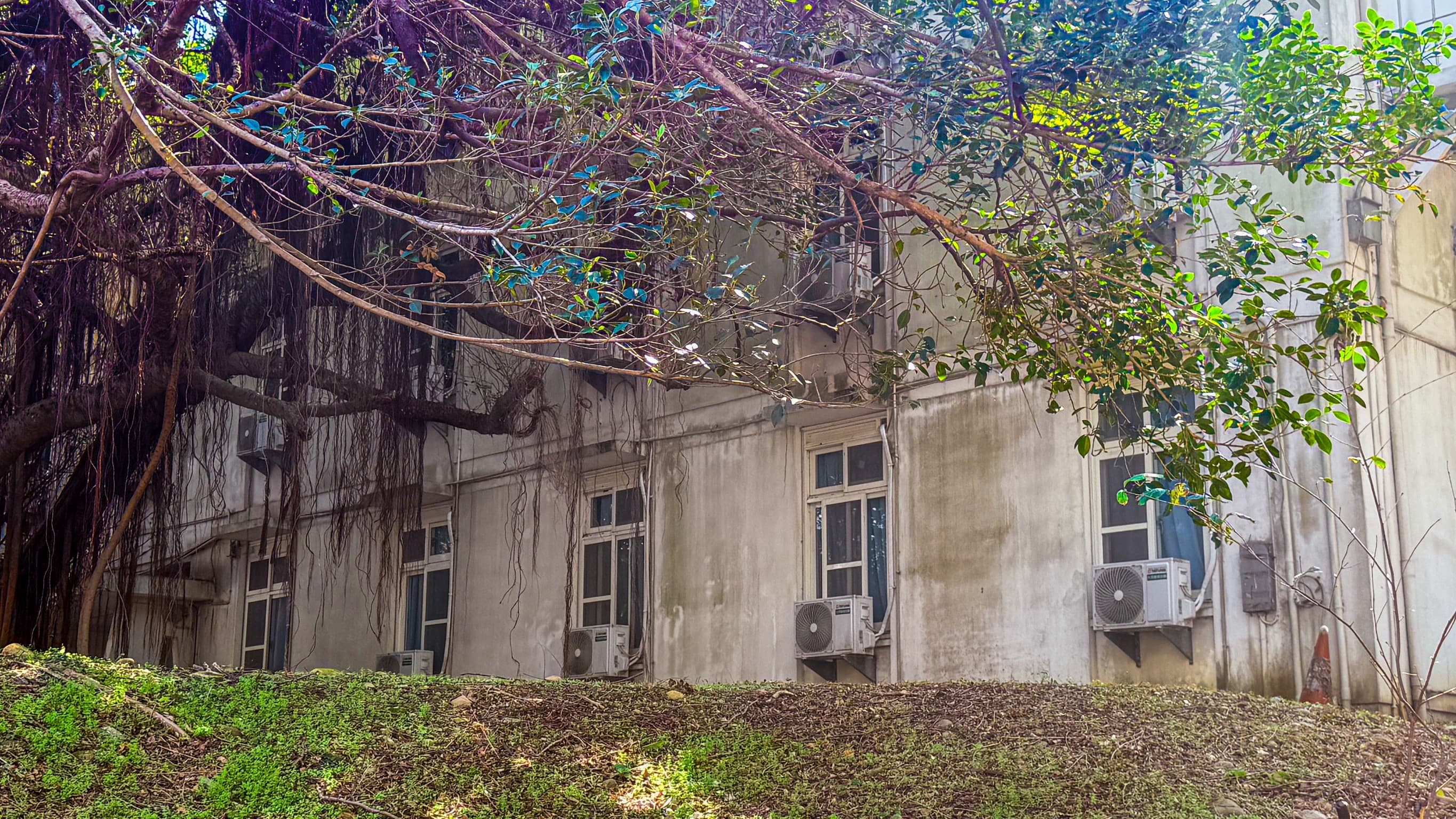 學生宿舍優化募款計畫 10