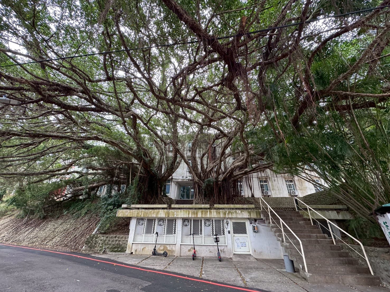 學生宿舍優化募款計畫 2