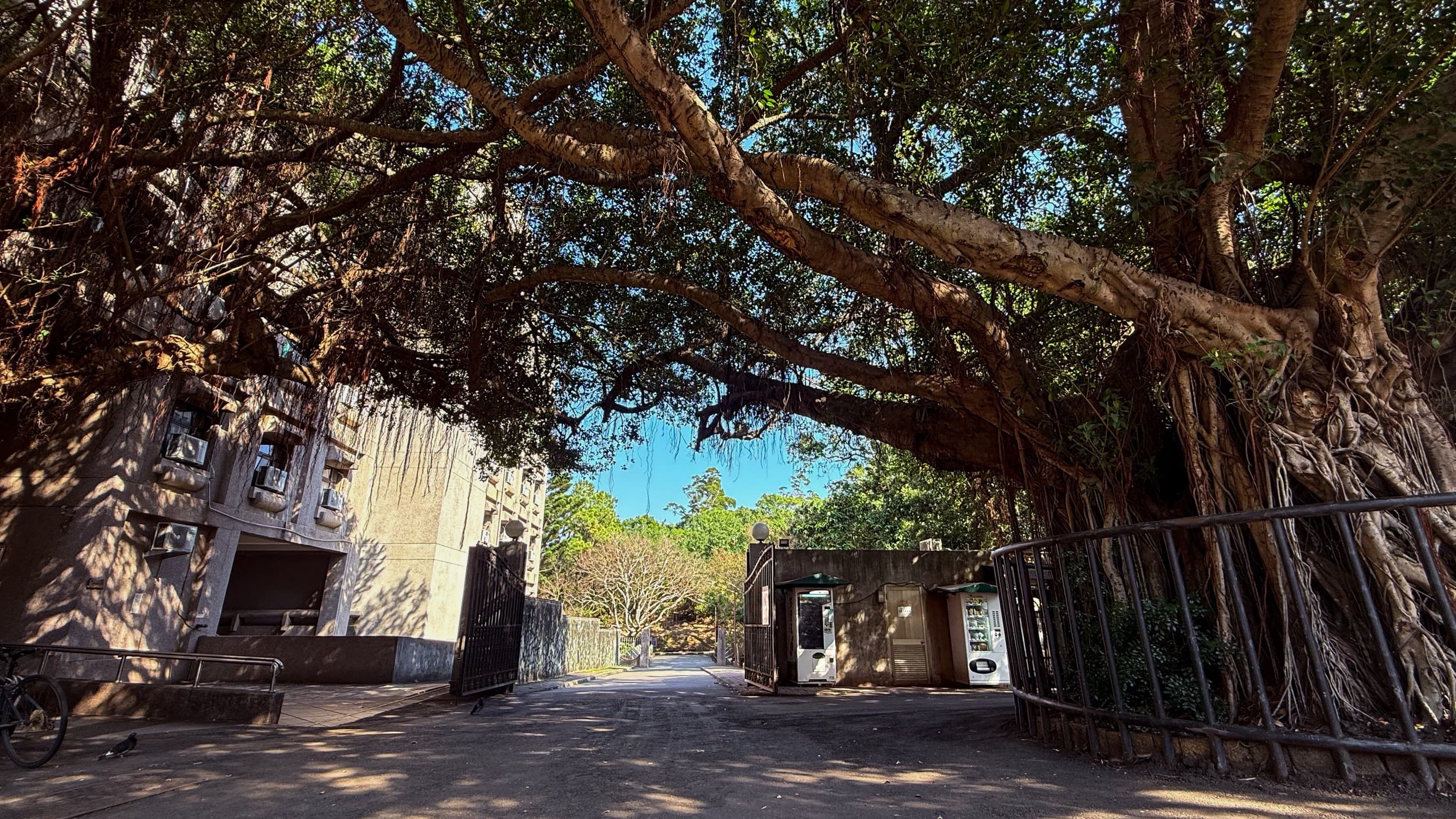 學生宿舍優化募款計畫 12